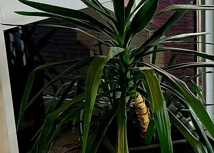 The Originals City, Le Forum, Strasbourg Nord Schiltigheim